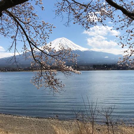Mt Fuji Cat&Dog&Spa Pension Blue Poppy فوجيكاواجوتشيكو المظهر الخارجي الصورة